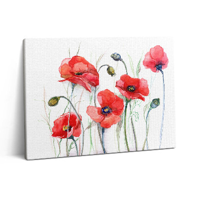 Obraz canvas 80x60 cm Umělecká malba - červené vlčí máky