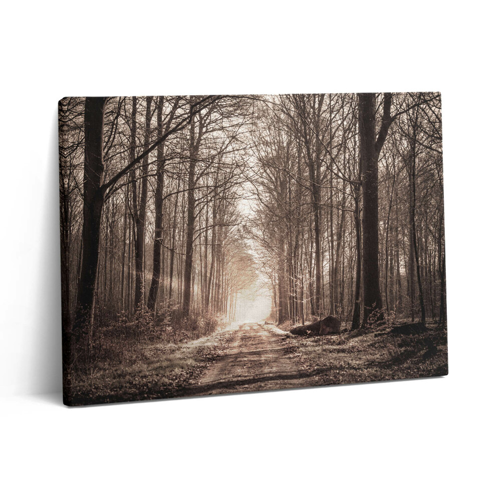 Obraz canvas 80x60 cm Lesní cesta v sépiových barvách