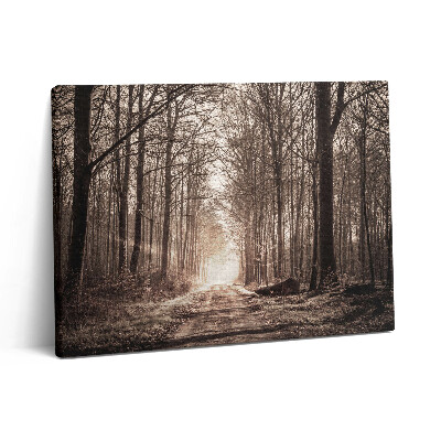 Obraz canvas 80x60 cm Lesní cesta v sépiových barvách