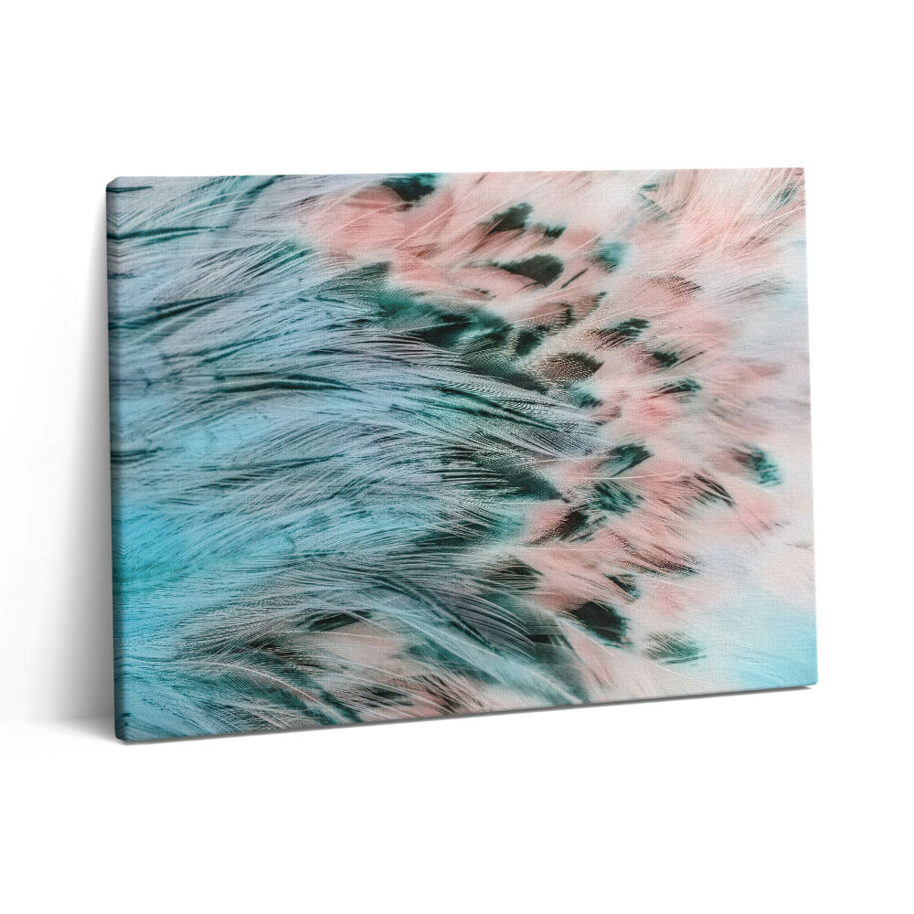 Obraz na plátně 80x60 cm Barevné peří