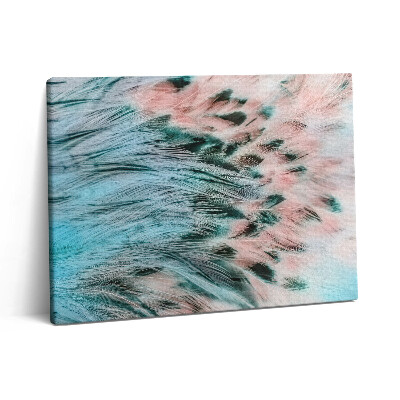 Obraz na plátně 80x60 cm Barevné peří