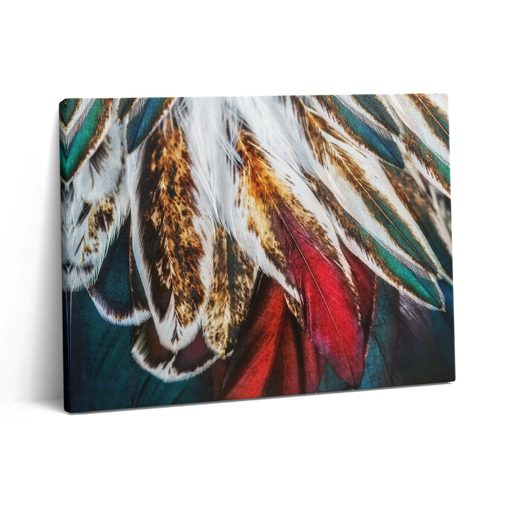 Obraz z fotografie na plátně 80x60 cm Světle hnědé ptačí peří