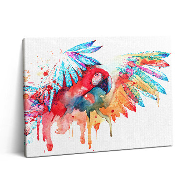 Obraz na plátně 80x60 cm Barevný červený papoušek