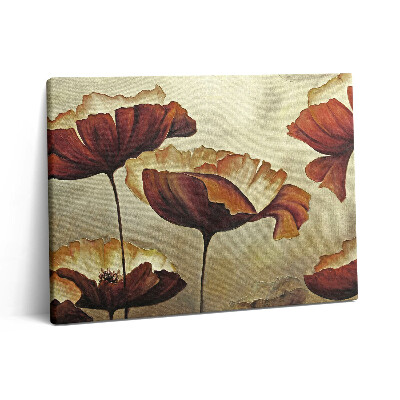 Obraz z fotografie na plátně 80x60 cm Malované máky