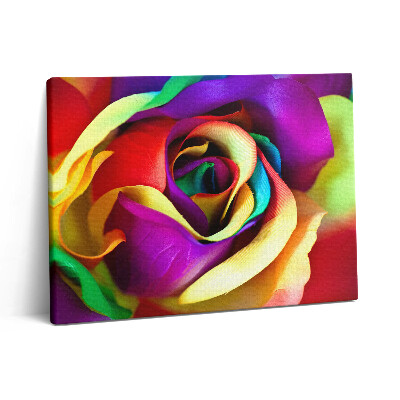 Obraz na plátně 80x60 cm Duhová růže