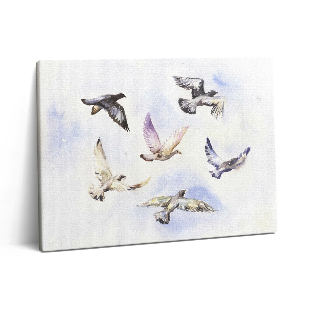 Obraz z fotografie na plátně 80x60 cm Létající ptáci