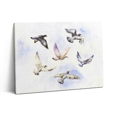 Obraz z fotografie na plátně 80x60 cm Létající ptáci