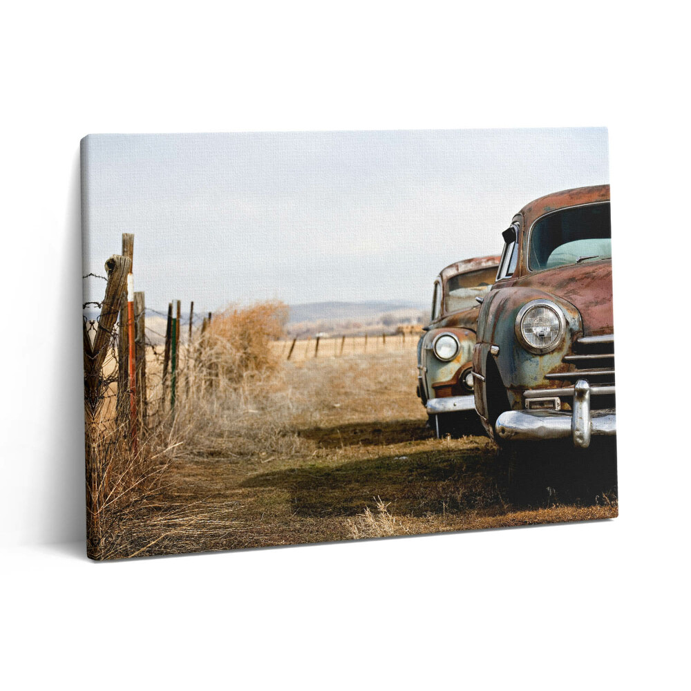 Obraz na plátně 80x60 cm Stará opuštěná auta
