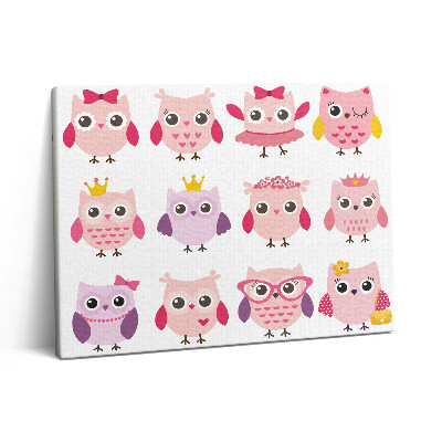 Obraz canvas 80x60 cm Barevná soví mláďata