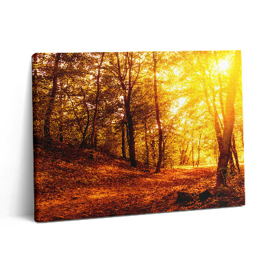 Obraz z fotografie na plátně 80x60 cm Podzimní krajina se západem slunce