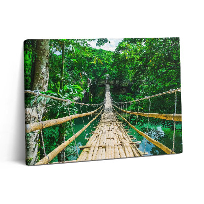 Obraz z fotografie na plátně 80x60 cm Most v lese na Filipínách