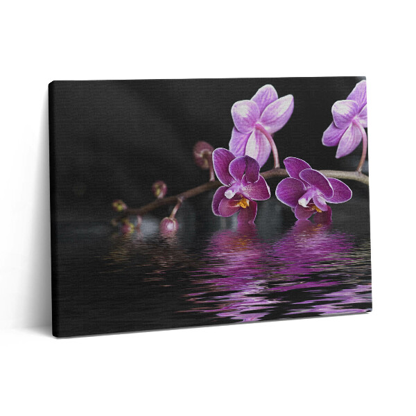 Obraz z fotografie na plátně 80x60 cm Růžový květ orchideje na vodě