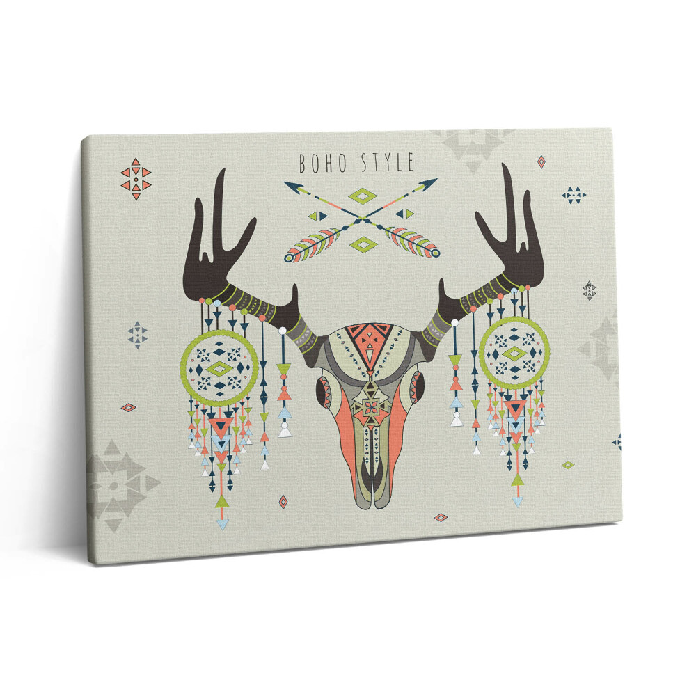 Obraz na plátně 80x60 cm Jelení lebka a lapač snů