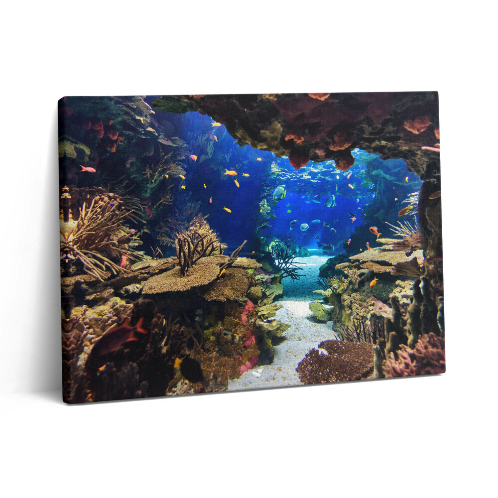 Obraz z fotografie na plátně 80x60 cm Akvárium