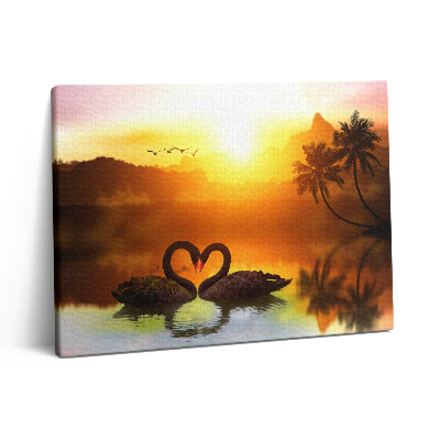 Obraz z fotografie na plátně 80x60 cm Krásná černá labuť na jezeře