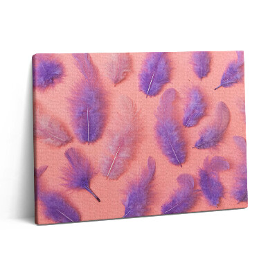 Obraz na plátně 80x60 cm Barevné peří