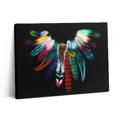 Obraz na plátně 80x60 cm Barevná ptačí pera