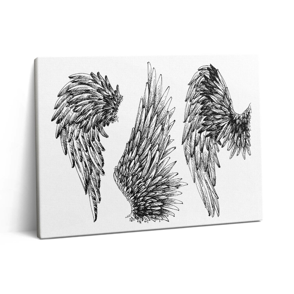 Obraz z fotografie na plátně 80x60 cm Křídla anděla