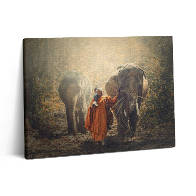 Obraz z fotografie na plátně 80x60 cm Mnich a sloni