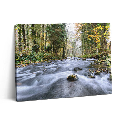 Obraz na plátně 80x60 cm Horský potok