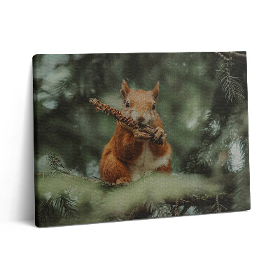 Obraz z fotografie na plátně 80x60 cm Volně žijící veverka