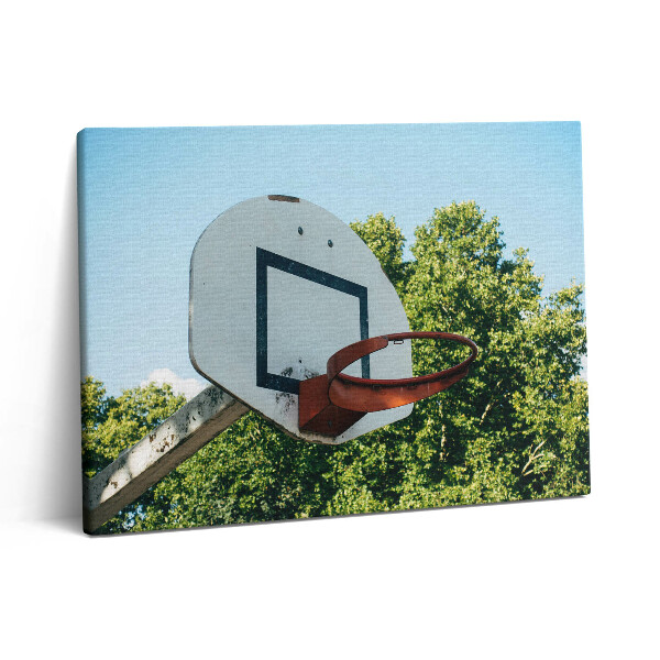 Obraz z fotografie na plátně 80x60 cm Basketbalové sporty