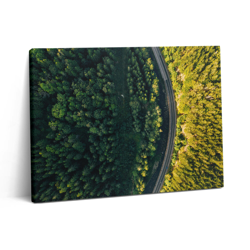 Obraz z fotografie na plátně 80x60 cm Les z dronu - Sněžná hora