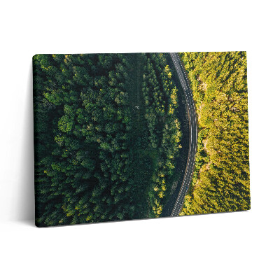 Obraz z fotografie na plátně 80x60 cm Les z dronu - Sněžná hora