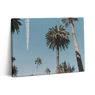 Obraz na plátně 80x60 cm Palmy v Los Angeles