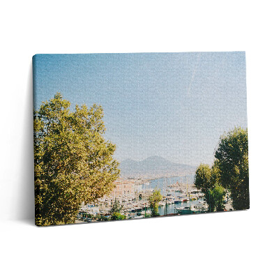 Obraz canvas 80x60 cm Zelené stromy v Neapoli