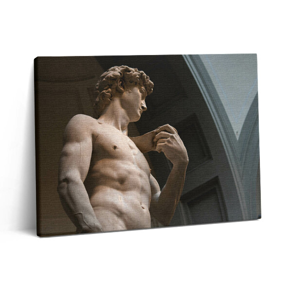 Obraz z fotografie na plátně 80x60 cm Socha Davida - Michelangelo