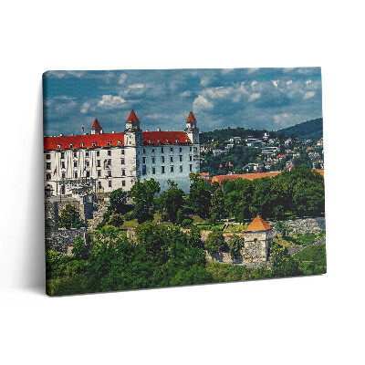 Obraz z fotografie na plátně 80x60 cm Bratislavský hrad