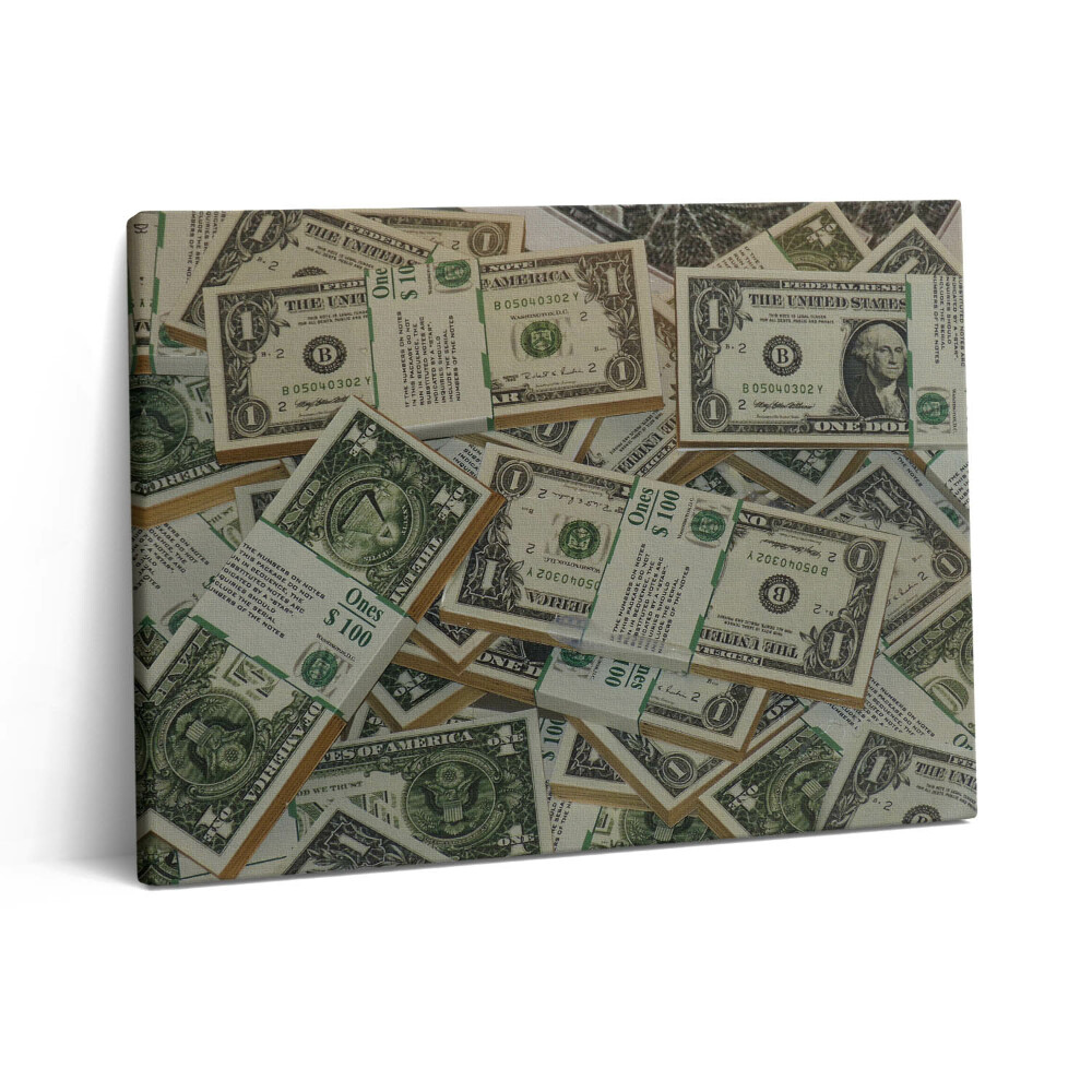 Obraz z fotografie na plátně 80x60 cm 1 americký dolar