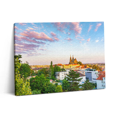 Obraz canvas 80x60 cm Budovy Brno Česká republika