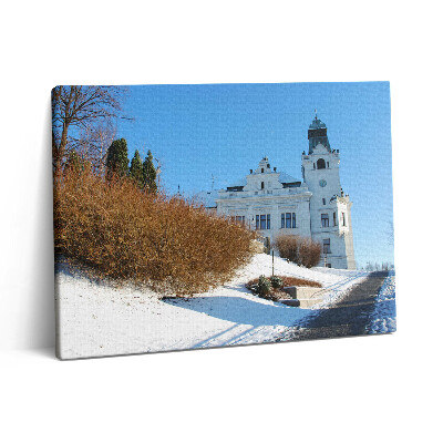 Obraz z fotografie na plátně 80x60 cm Město Ostrava v zimě