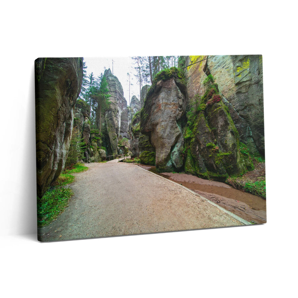 Obraz z fotografie na plátně 80x60 cm Skalní město v České republice