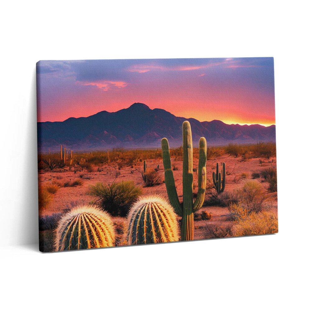 Obraz z fotografie na plátně 80x60 cm Západ slunce v poušti