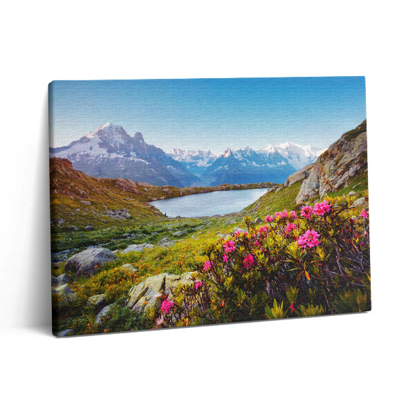 Obraz na plátně 80x60 cm Ledovec Mont Blanc Chamonix