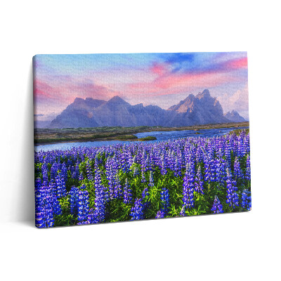 Obraz canvas 80x60 cm Levandulová pole - Island