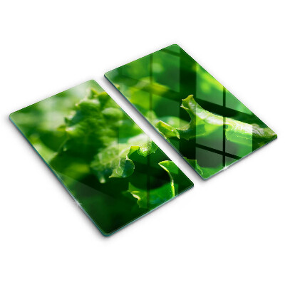 Deska za sporák 2 sztuki Listy salátu