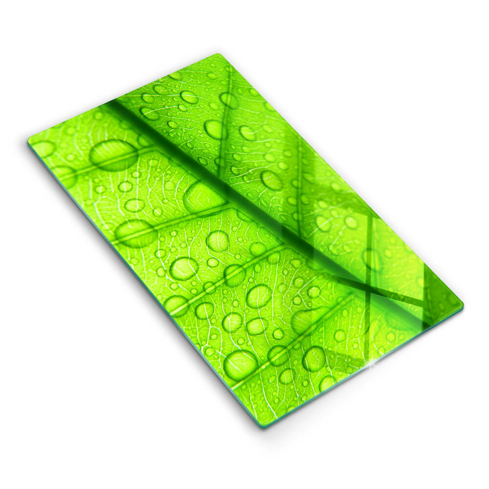 Kryt na varnou desku Detail listu