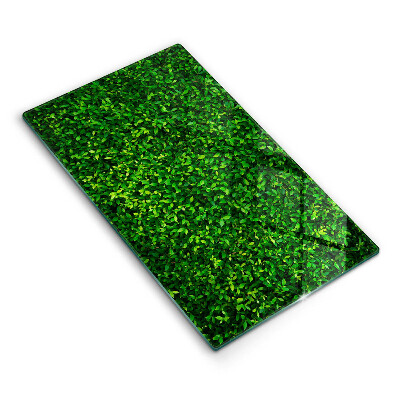 Skleněná deska za sporák Malá listová rostlina