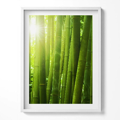 Obraz v rámu Zelené bambusové stonky