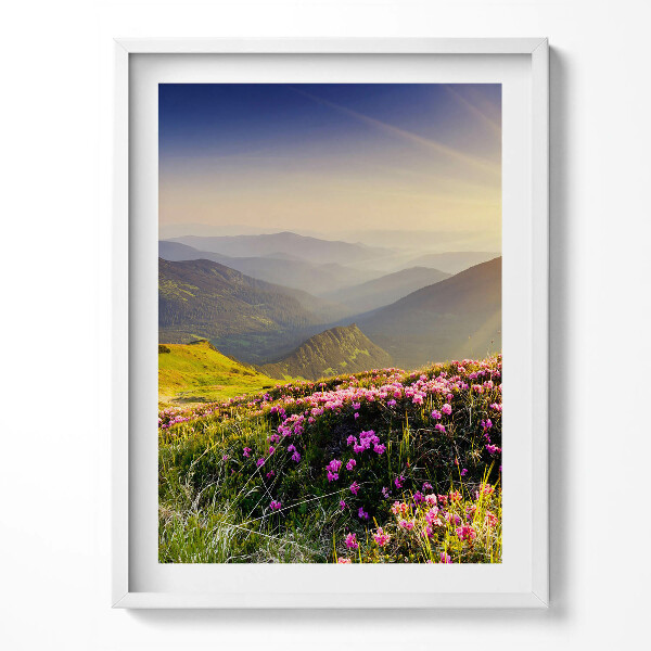 Obraz v rámu Hory a květinová louka