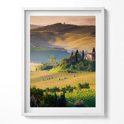 Obraz v rámu Útulná letní krajina polí