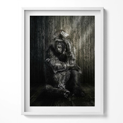 Obraz v rámu Opice dumající ve stínu