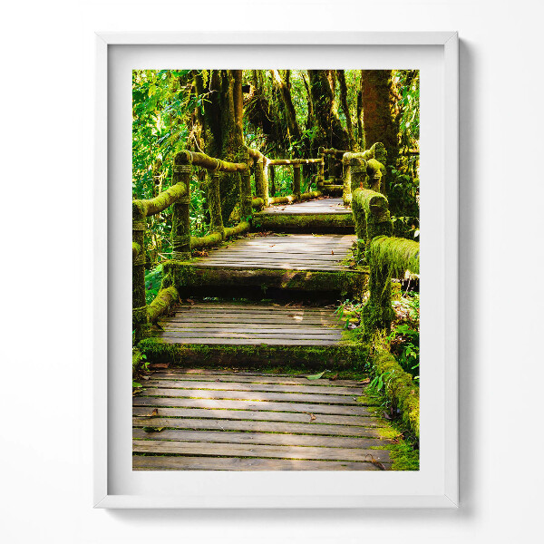 Obraz v rámu Dřevěný chodník - agroturistika