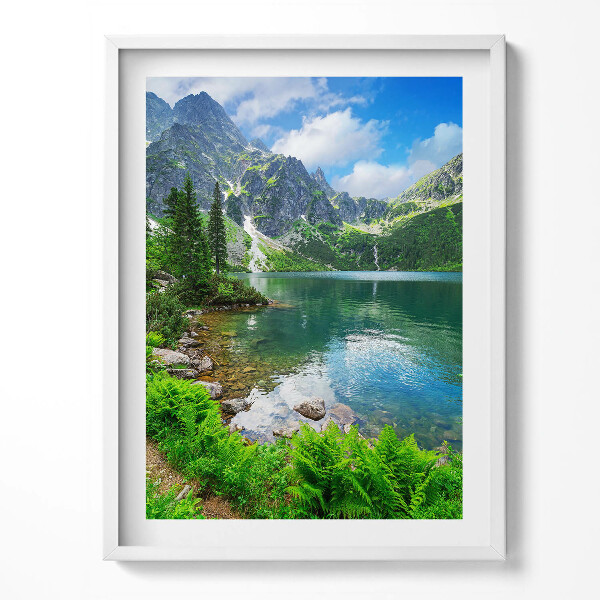 Obraz v rámu Lesní horská krajina