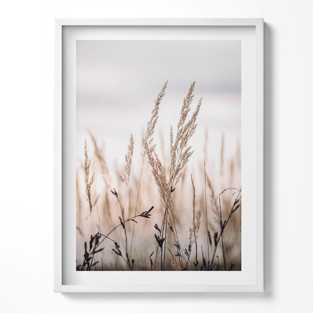 Obraz v rámu Přírodní tráva boho styl