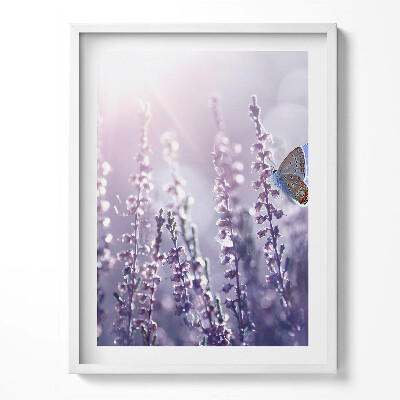 Obraz v rámu Motýl na divokých květinách